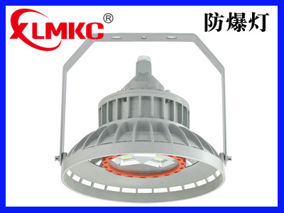 防爆免維護(hù)LED照明燈