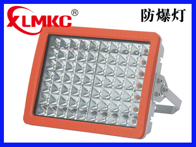 BZD188-02系列防爆免維護(hù)LED泛光燈(IIC)