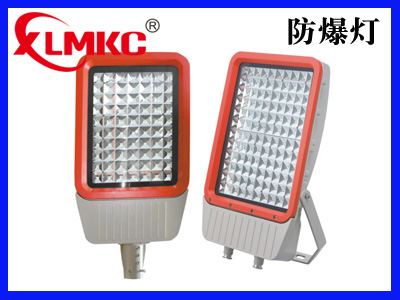 BZD188-03系列防爆免維護(hù)LED泛光燈(IIC)