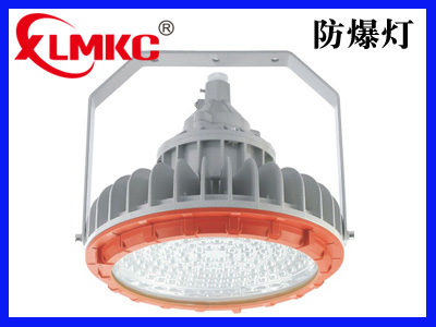 BZD180-101系列防爆免維護(hù)LED照明燈(IIC)