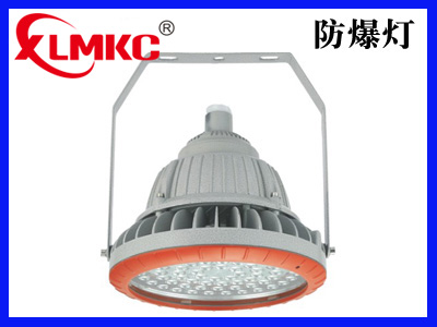 BZD180-105系列防爆免維護(hù)LED照明燈(IIC)
