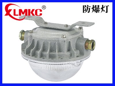 BZD180-112系列防爆免維護(hù)LED照明燈(IIC)