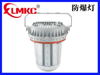 BZD180-103系列防爆免維護(hù)LED照明燈(IIC)
