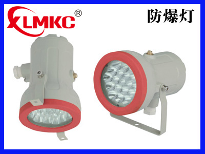 BZD180-110防爆免維護(hù)LED照明燈(IIC)